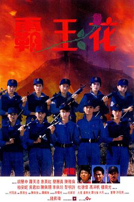 《大地资源9》海报